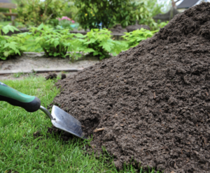 Compost as Fertilizer is a more eco-friendly option 